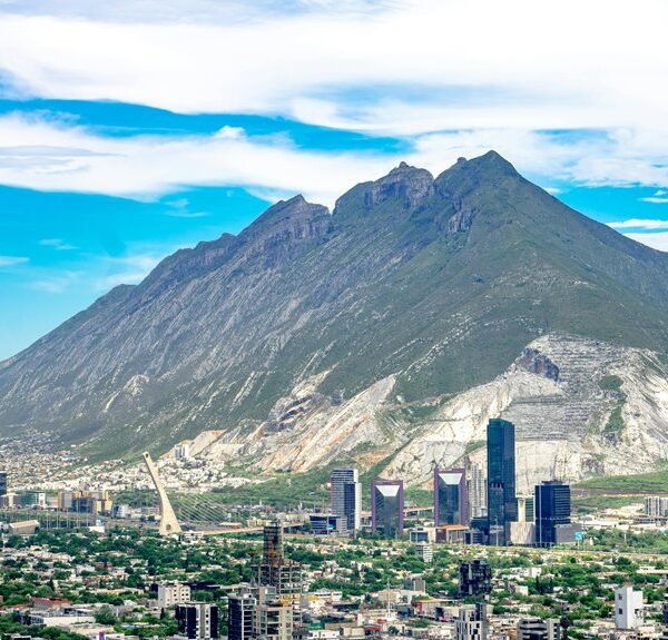 business growth projections data