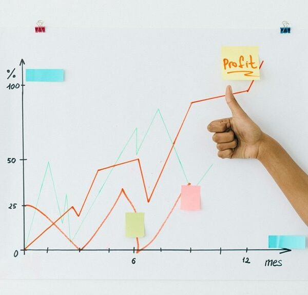 revenue enhancement strategy details